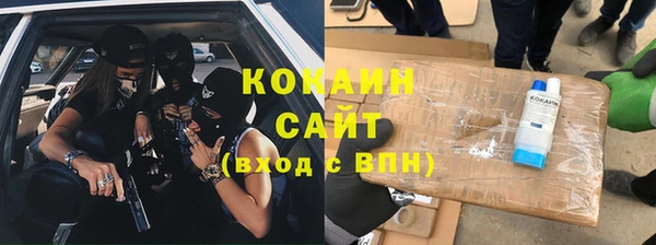 прущие грибы Армянск
