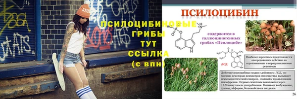 прущие грибы Армянск