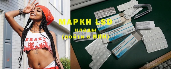 прущие грибы Армянск